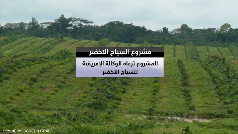 مشروع سوداني لزراعة آلاف الأشجار