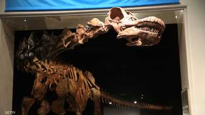 حفرية لإحدى الديناصورات