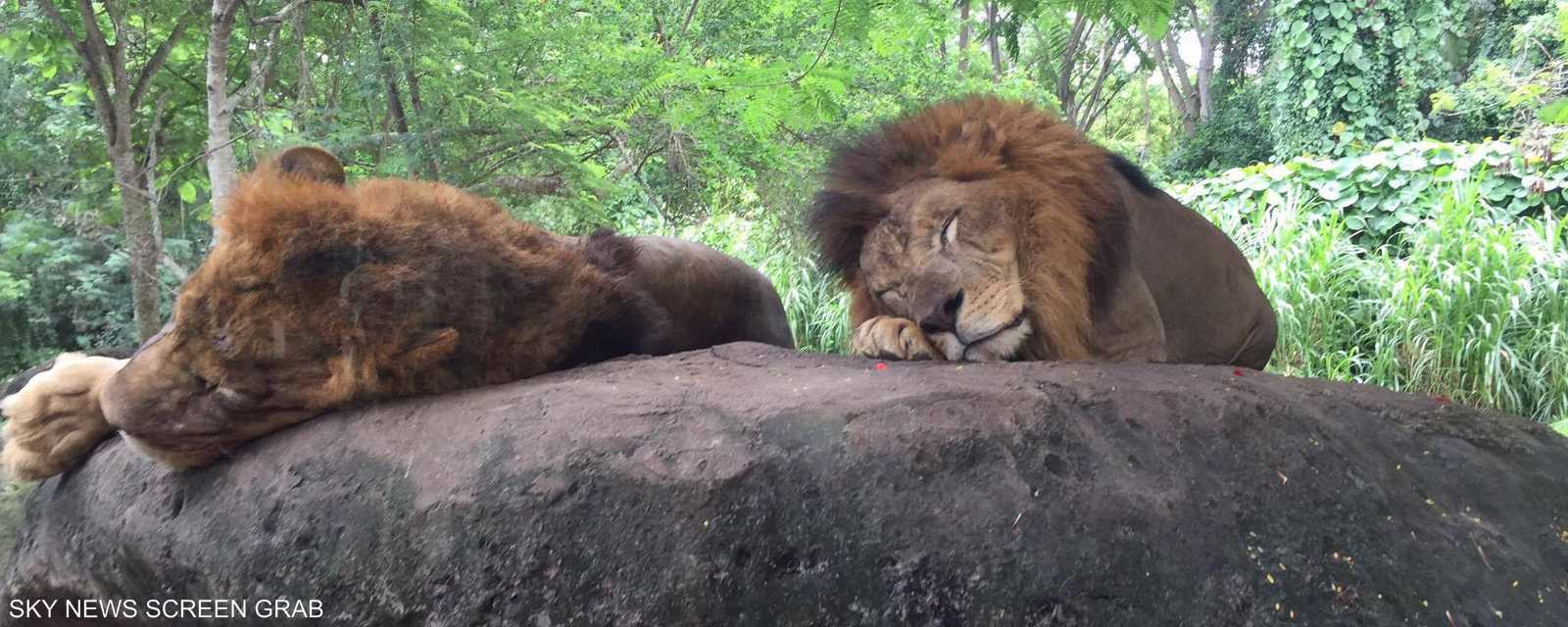 تضم الحديقة أنواعا من مختلف قارات العالم