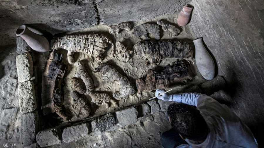عالم آثار مصري يزيح الغبار عن القطط المحنطة