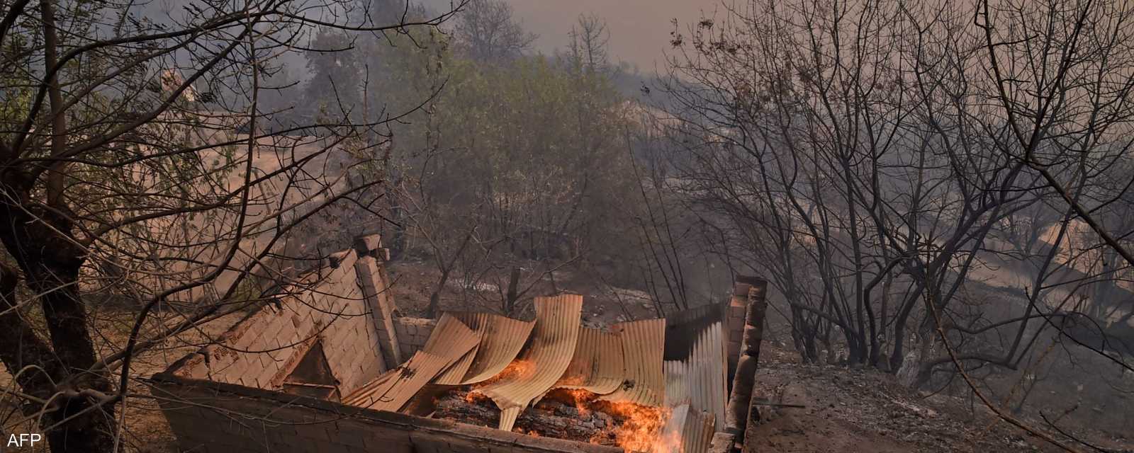 سحب الدخان تغطي جبال منطقة القبائل