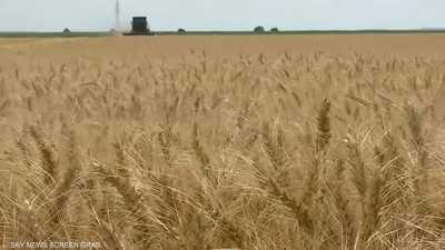 لماذا بدأ العالم بتخزين الغذاء مجدداً؟