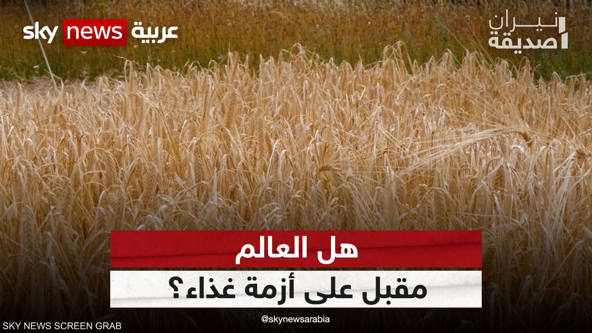 اتفاق الحبوب.. هل العالم مقبل على أزمة غذاء؟