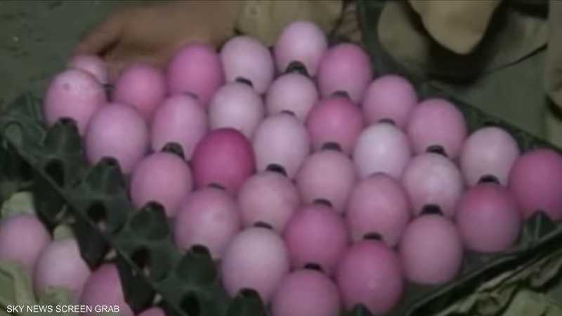 مسابقة البيض المسلوق في باكستان تشجع الأطفال على السهر