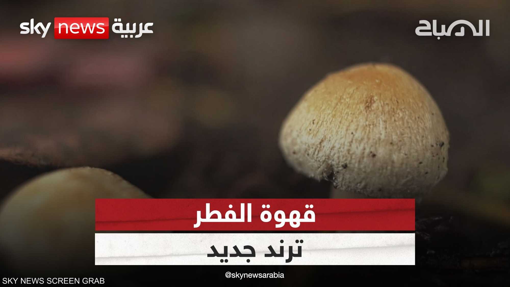 قهوة الفطر.. بين الفوائد والطعم الغريب