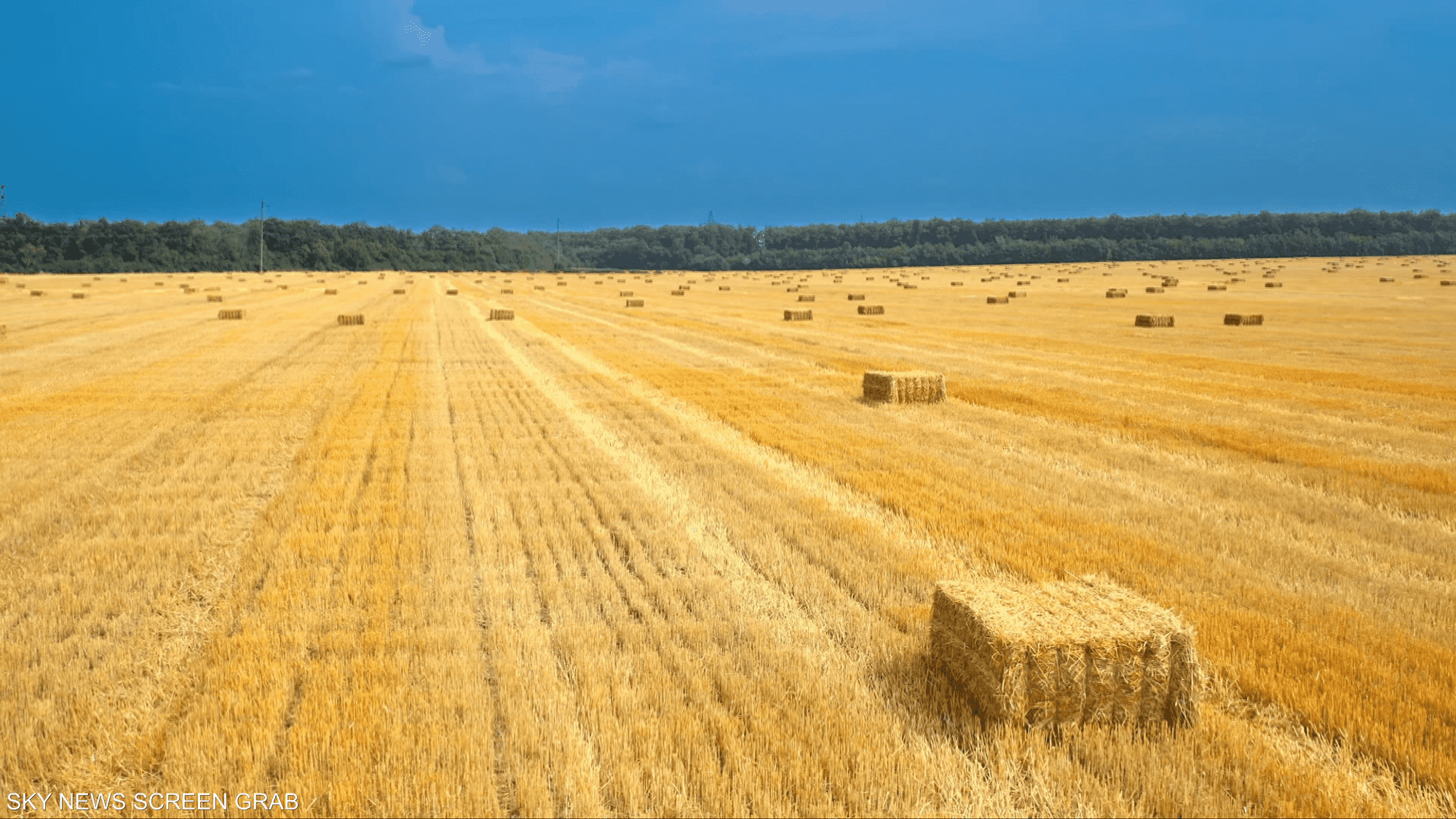 كيف أصبح القش ذهبا؟