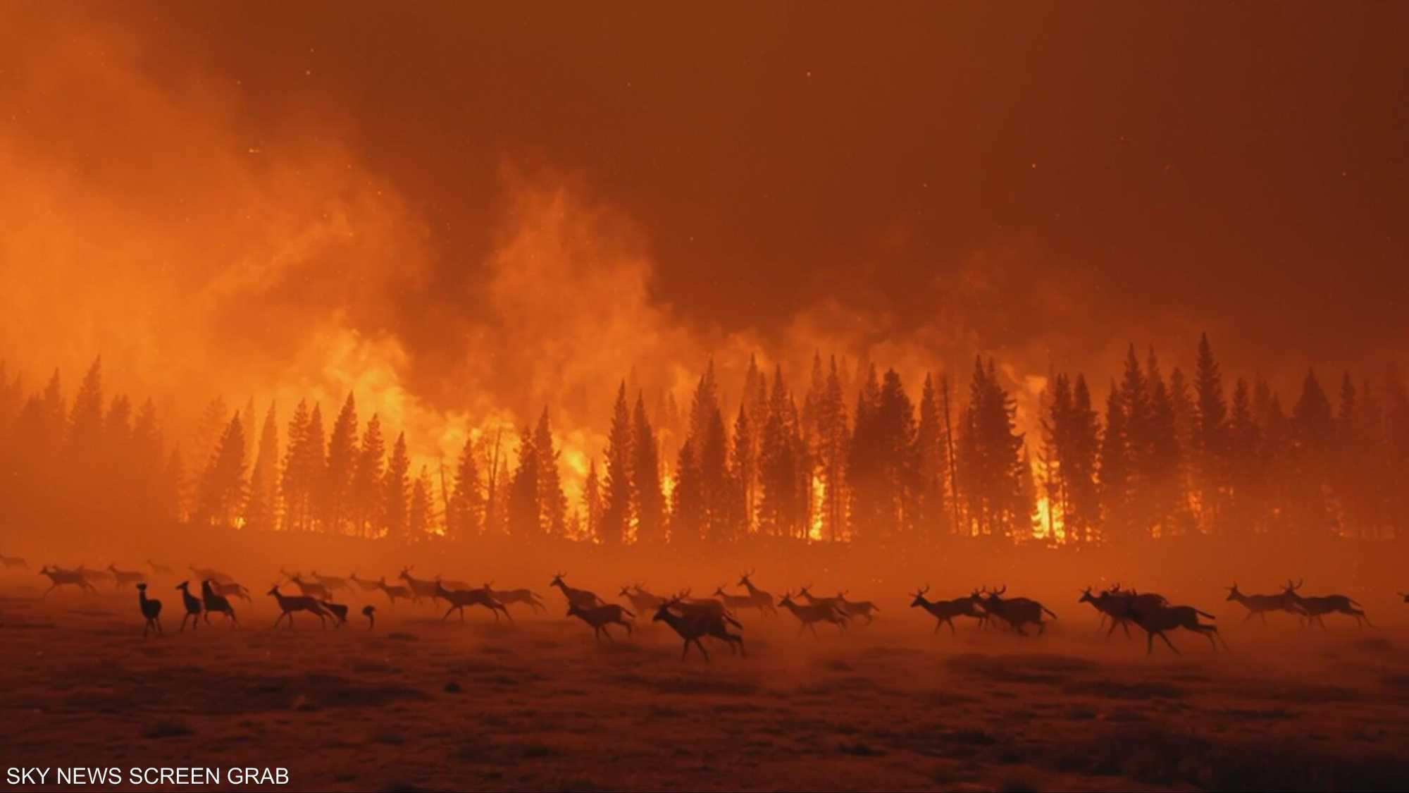 تغيّر سلوك الحيوانات يكشف خللًا في التوازن البيئي