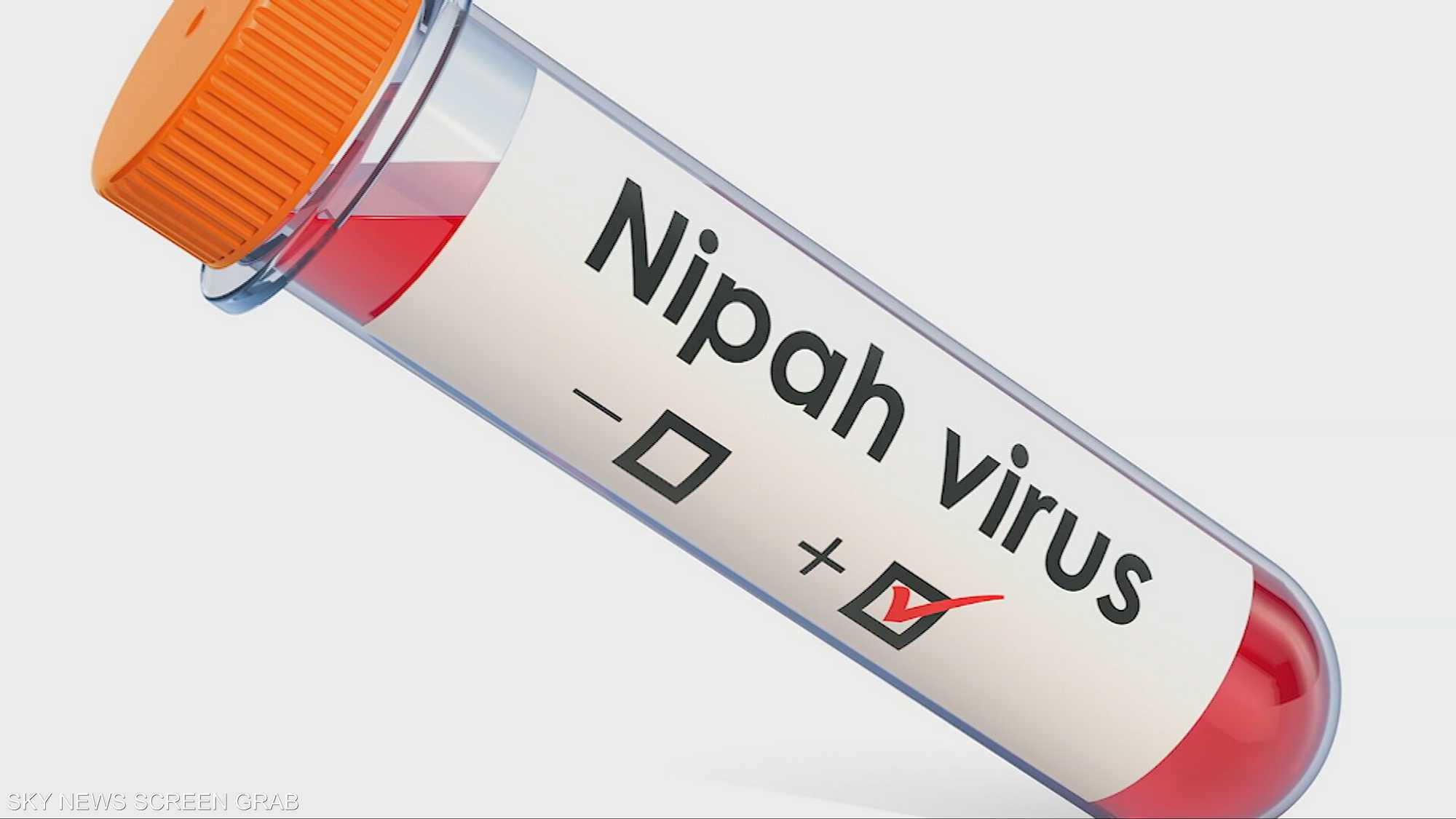 مخاوف متزايدة من فيروس نيباه "الخطير"