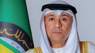 البديوي يدين الحملات الإعلامية المضللة ضد الإمارات وقطر