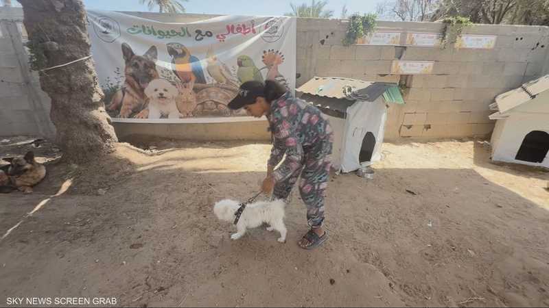 حيوانات في غزة لتقديم الدعم النفسي للأطفال المتضررين