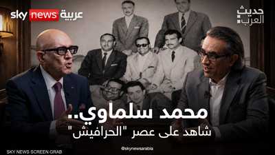 محمد سلماوي.. شاهد على عصر الحرافيش